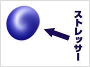 こころとからだ